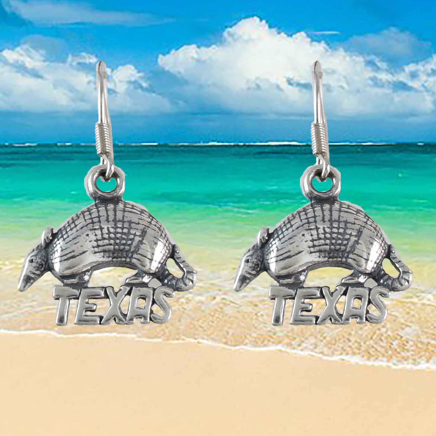Texas Armadillo Earrings, Sterling Silver Texas Armadillo Dangle Earrings, E9466 Birthday Mother Gift, Texan Jewelry