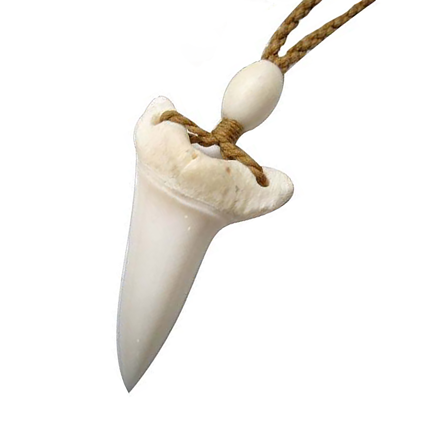 Hawaiian Genuine Shark Teeth Necklace, Genuine Shark Teeth Necklace, N9125A Paradise Treasures Jewelry