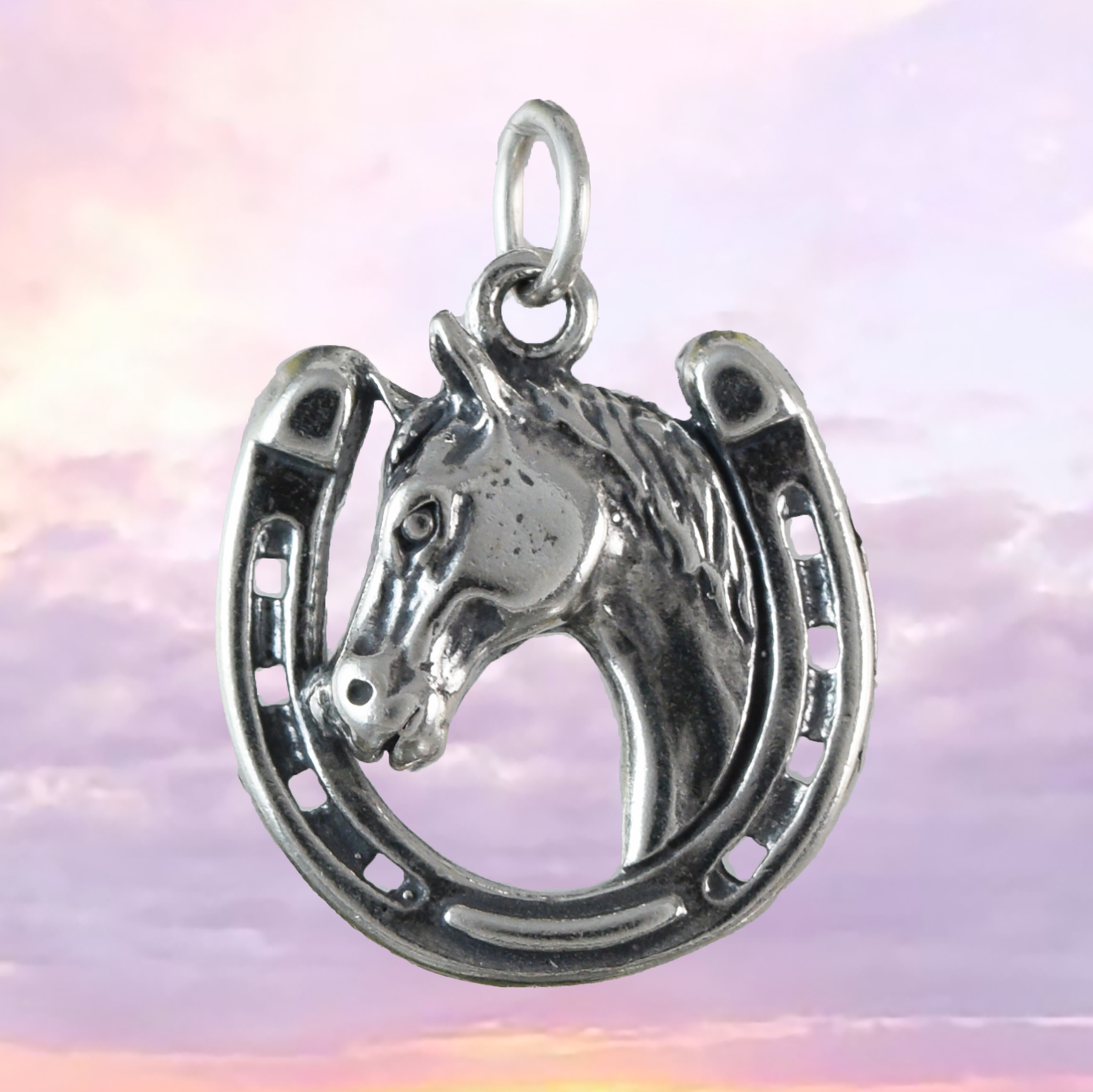 Texan Horse on Horseshoe Pendant, Sterling Silver Horseshoe Pendant, N9448 Birthday Mother Wife Mom Gift, Texan Jewelry