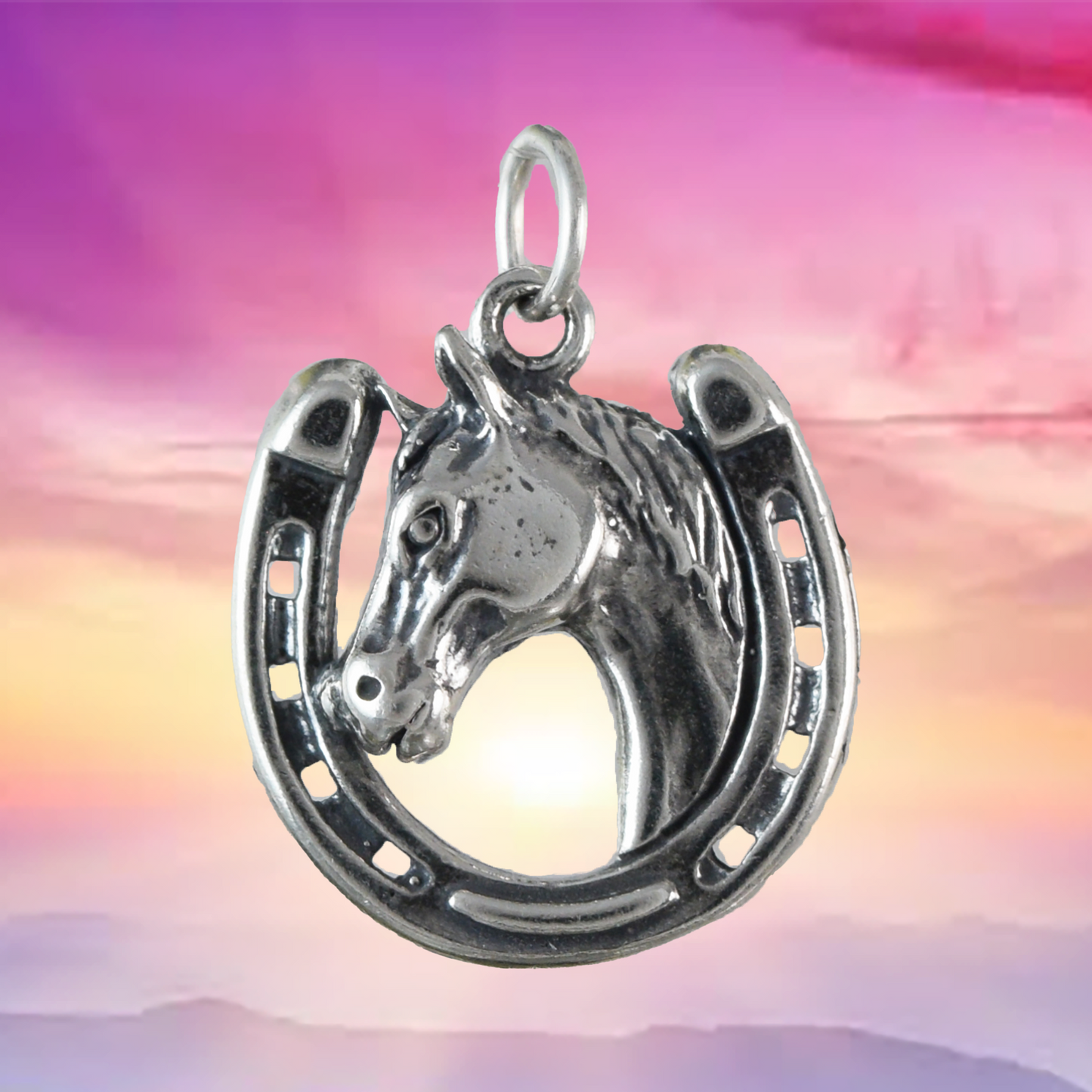 Texan Horse on Horseshoe Pendant, Sterling Silver Horseshoe Pendant, N9448 Birthday Mother Wife Mom Gift, Texan Jewelry