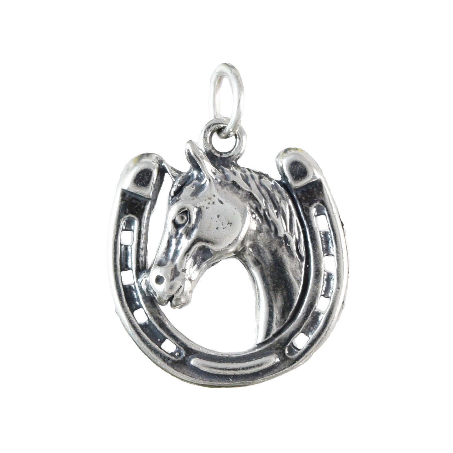 Texan Horse on Horseshoe Pendant, Sterling Silver Horseshoe Pendant, N9448 Birthday Mother Wife Mom Gift, Texan Jewelry