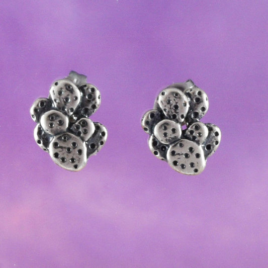 Unique Little Desert Cactus Earring, Sterling Silver Cactus Stud Earring, E8153 Birthday Mom Wife Girl Mother Gift, Texan Jewelry - Hawaii Treasures Shop