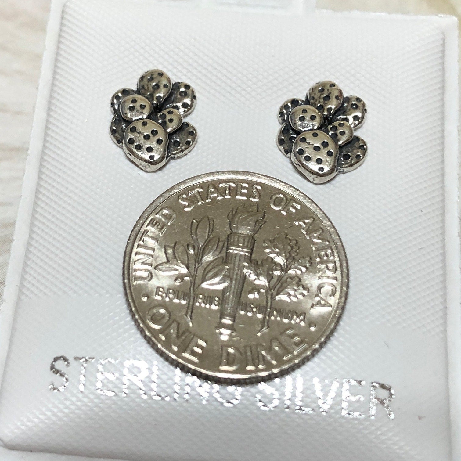 Unique Little Desert Cactus Earring, Sterling Silver Cactus Stud Earring, E8153 Birthday Mom Wife Girl Mother Gift, Texan Jewelry - Hawaii Treasures Shop