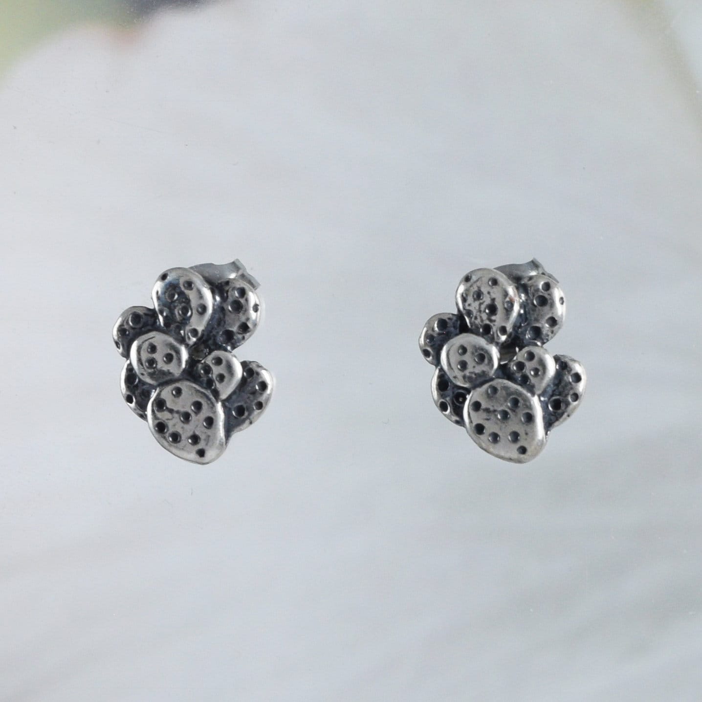 Unique Little Desert Cactus Earring, Sterling Silver Cactus Stud Earring, E8153 Birthday Mom Wife Girl Mother Gift, Texan Jewelry - Hawaii Treasures Shop