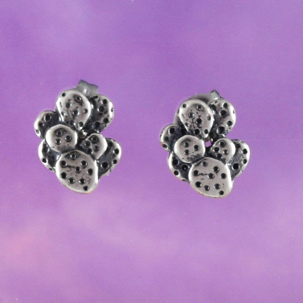 Unique Little Desert Cactus Earring, Sterling Silver Cactus Stud Earring, E8153 Birthday Mom Wife Girl Mother Gift, Texan Jewelry - Hawaii Treasures Shop